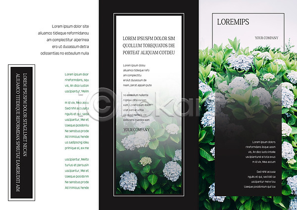 사람없음 AI(파일형식) 템플릿 3단접지 꽃 리플렛 북디자인 북커버 수국 자연 출판디자인 팜플렛 편집 표지 표지디자인