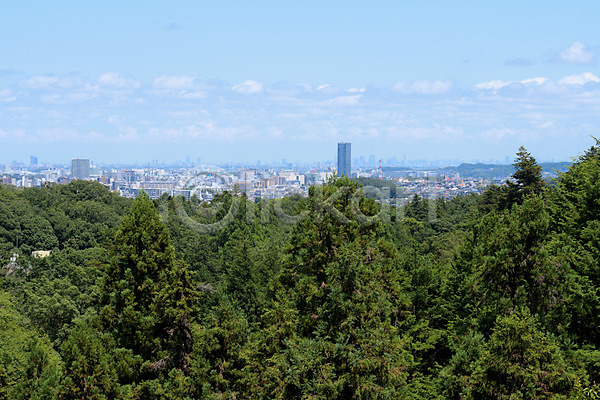 사람없음 JPG 포토 구름(자연) 나무 도시 빌딩 숲 야외 자연 주간 풍경(경치) 하늘