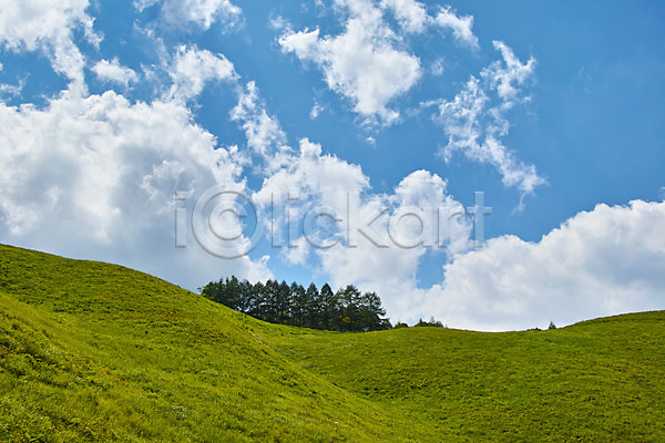 사람없음 JPG 포토 구름(자연) 나무 맑음 야외 언덕 자연 주간 풍경(경치) 하늘