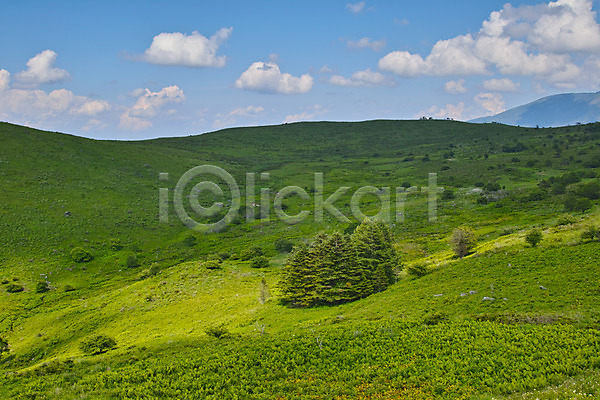 사람없음 JPG 포토 구름(자연) 나무 맑음 목초지 야외 언덕 자연 주간 풍경(경치) 하늘