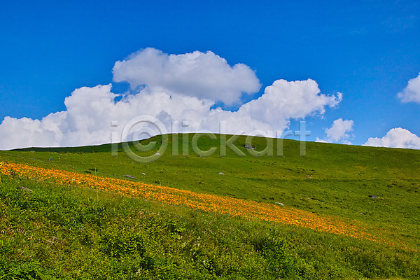 사람없음 JPG 포토 구름(자연) 꽃 맑음 목초지 야외 언덕 자연 주간 풍경(경치) 하늘