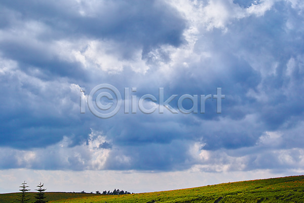 사람없음 JPG 포토 구름(자연) 나무 목초지 야외 자연 주간 풍경(경치) 하늘