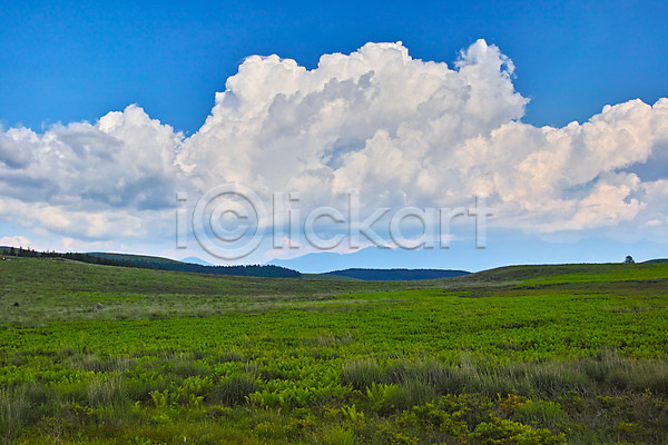 사람없음 JPG 포토 구름(자연) 맑음 목초지 야외 자연 주간 풍경(경치) 하늘