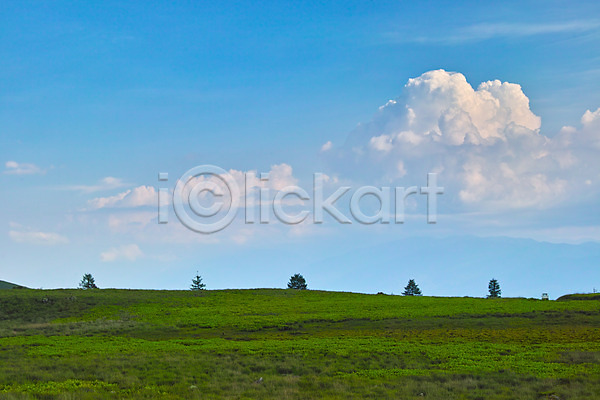 사람없음 JPG 포토 구름(자연) 나무 맑음 목초지 야외 자연 주간 풍경(경치) 하늘