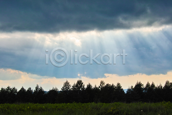 사람없음 JPG 포토 구름(자연) 나무 노을 빛무리 야외 자연 주간 풍경(경치) 하늘 햇빛