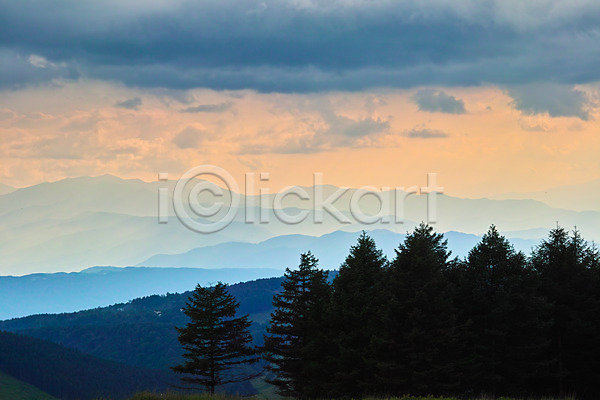 사람없음 JPG 포토 구름(자연) 나무 노을 산 야외 자연 주간 풍경(경치) 하늘