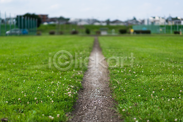 사람없음 JPG 아웃포커스 포토 꽃 야외 자연 잔디 주간 토끼풀 풍경(경치)