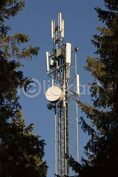 사람없음 JPG 포토 해외이미지 4G 가문비나무 금속 나무 모바일 봉 서비스 숲 접시 탑 통신 파란색 하늘 해외202004 핸드폰 흰색