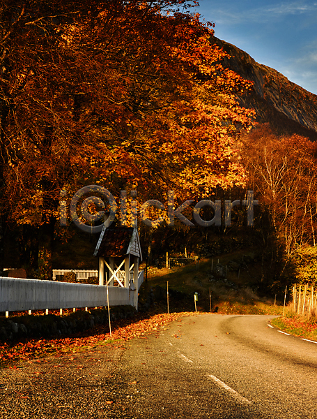 사람없음 JPG 포토 해외이미지 가을(계절) 나무 노르웨이 도로 북유럽 스칸디나비아 야외 울타리 잎 자연 풍경(경치) 해외202004