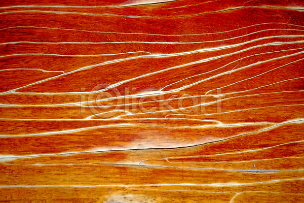 특별함 사람없음 JPG 포토 해외이미지 그래픽 그림 낟알 목재 백그라운드 수목 자연 질감 판넬 표면 해외202004 흥미