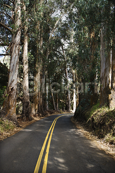 사람없음 JPG 포토 해외이미지 고속도로 나무 도로 사진촬영 숲 시골 야외 여행 풍경(경치) 하와이 해외202004 휴가