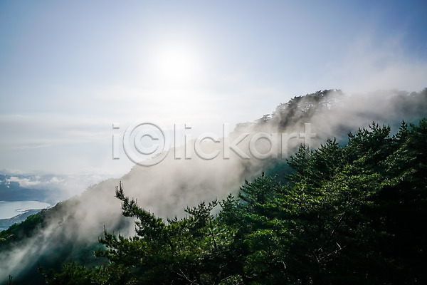 사람없음 JPG 포토 구름(자연) 나무 산 숲 야외 자연 주간 풍경(경치) 하늘