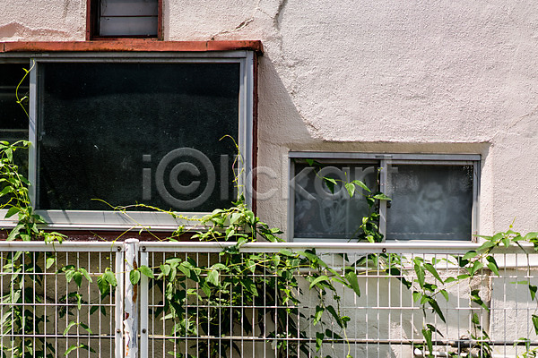 사람없음 JPG 포토 덩굴 야외 울타리 주간 주택 창문 철조망 풍경(경치)