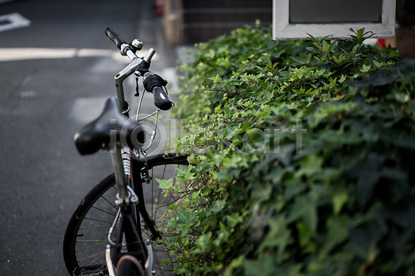 사람없음 JPG 아웃포커스 포토 거리 거리풍경 식물 야외 자전거 주간 주차 풍경(경치)