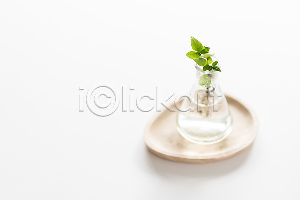 사람없음 JPG 아웃포커스 포토 꽃병 식물 오브젝트 유리병 장식 접시