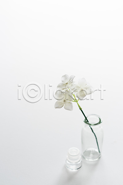 사람없음 JPG 포토 꽃병 백그라운드 스튜디오촬영 실내 오브젝트 유리병 장식 조화 흰배경 흰색