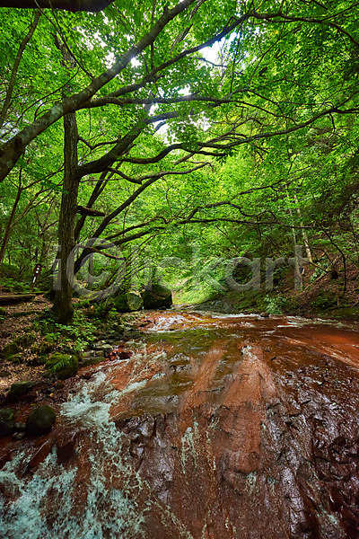 사람없음 JPG 포토 계곡 나무 물흐름 바위 숲 야외 자연 주간 풍경(경치)