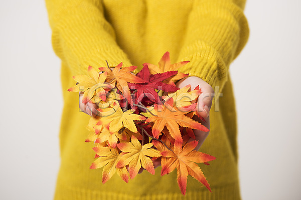 신체부위 JPG 앞모습 포토 가을(계절) 나뭇잎 낙엽 단풍 들기 상반신 스튜디오촬영 실내 잎