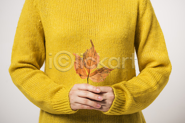 신체부위 JPG 앞모습 포토 가을(계절) 나뭇잎 낙엽 들기 스튜디오촬영 실내 잎
