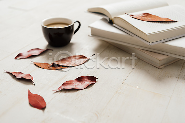 사람없음 JPG 아웃포커스 포토 가을(계절) 나뭇잎 낙엽 스튜디오촬영 실내 잎 책 커피