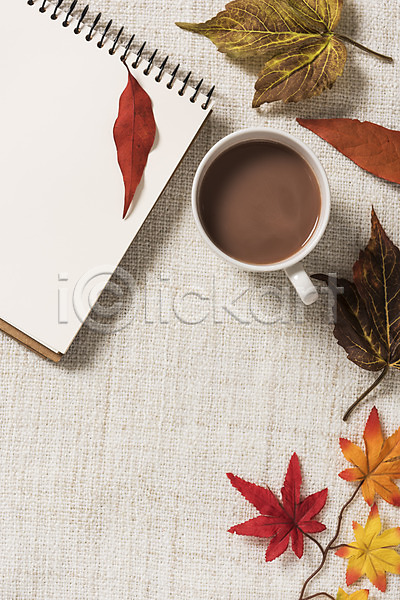 사람없음 JPG 포토 가을(계절) 공책 나뭇잎 낙엽 단풍 스튜디오촬영 실내 잎 커피