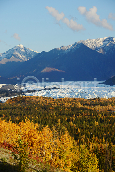 사람없음 JPG 포토 해외이미지 가을(계절) 겨울 공원 나무 멀리 물 미국 빙하 산 숲 알래스카 야외 얼음 여행 자연 파란색 풍경(경치) 하늘 해외202004 흰색