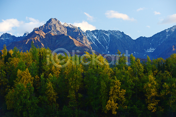 사람없음 JPG 포토 해외이미지 가을(계절) 계절 구름(자연) 나무 노란색 멀리 산 숲 알래스카 자연 전국 절정 파란색 하늘 해외202004 황무지