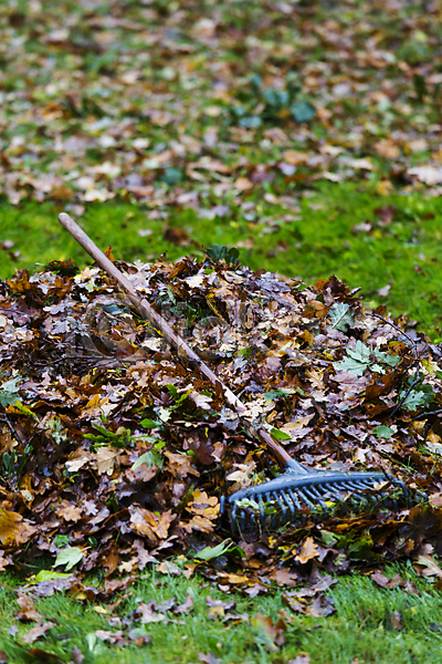 사람없음 JPG 포토 해외이미지 가을(계절) 갈퀴 단풍 덴마크 원예 잎 자연 장비 정원 해외202004 흙더미