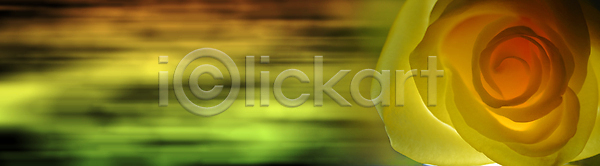 부드러움 신선 사람없음 JPG 포토 해외이미지 계절 꽃 꽃무늬 꽃잎 노란색 발렌타인데이 백그라운드 장미 해외202004 해외포토