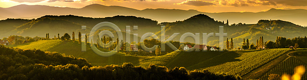 사람없음 JPG 포토 해외이미지 4월 5월 가을 거리 계절 남쪽 내추럴 농업 도로 밭 봄 시골 양조장 언덕 여행 오스트리아 와인 유럽 잎 자연 장면 점 줄서기 초록색 파노라마 포도나무 포도밭 풍경 해외202004 해외포토 휴가