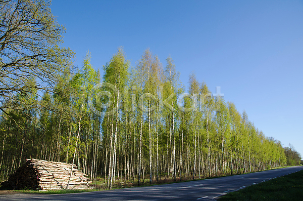 사람없음 JPG 포토 해외이미지 길가 나무 내추럴 도로 목재 벌목 봄 산업 수목 숲 스웨덴 쌓기 언덕 업무 자르기 자연 자원 자작나무 잡동사니 장작 초록색 통나무 파란색 풍경(경치) 하늘 해외202004 환경