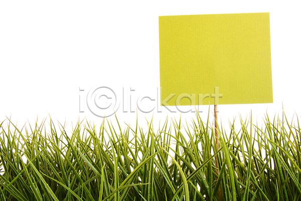 새로움 신선 사람없음 JPG 포토 해외이미지 거짓 노란색 덮개 밭 배너 봄 사인 생태학 식물 심플 오브젝트 자연 재활용 초록색 컨셉 하늘 해외202004 환경