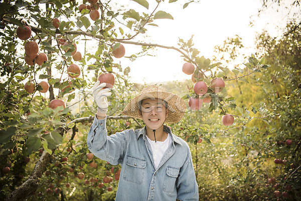 30대 남자 성인 성인남자한명만 한국인 한명 JPG 아웃포커스 앞모습 포토 가을(계절) 과수원 과일 나무 사과 사과나무 상반신 서기 수확 안동 야외 여행 웃음 잡기 주간