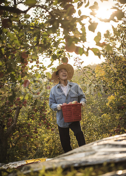 30대 남자 성인 성인남자한명만 한국인 한명 JPG 아웃포커스 앞모습 포토 가을(계절) 과수원 과일 나무 들기 바구니 사과 사과나무 상반신 서기 수확 안동 야외 여행 웃음 응시 주간