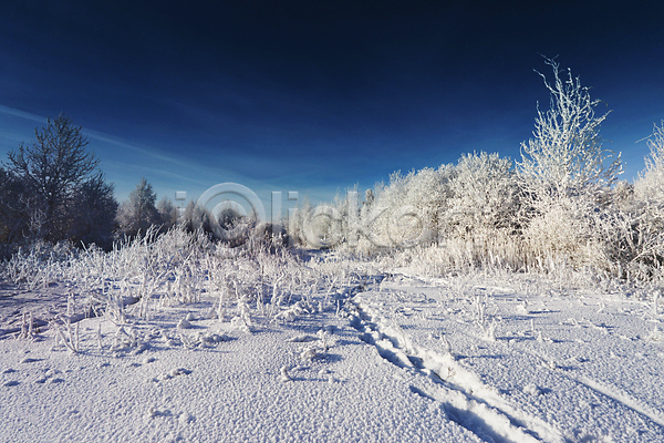 추위 사람없음 JPG 포토 해외이미지 1월 겨울 구름(자연) 나무 나뭇가지 도로 맑음 목재 밭 벨로루시 서리 숲 여행 유럽 정원 파란색 하늘 해외202004 햇빛 휴가 흰색