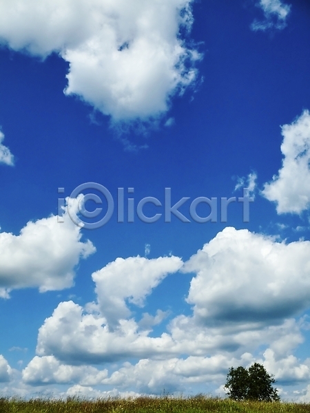 사람없음 JPG 포토 해외이미지 구름(자연) 도로 마을 백그라운드 시골 주택 지붕 파란색 하늘 해외202004