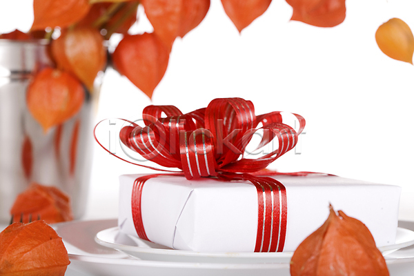 사람없음 JPG 포토 해외이미지 꽃 디자인 리본 빨간색 선물 장식 접시 축제 크리스마스 포장 해외202004 활 휴가 흰색