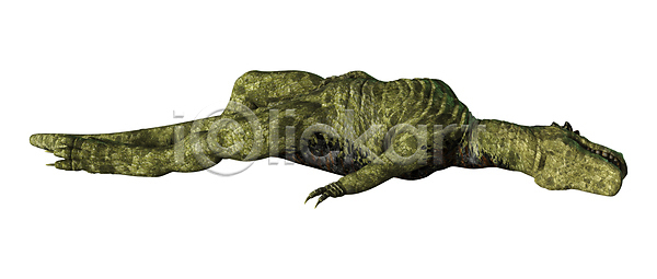 사람없음 JPG 포토 해외이미지 고립 동물 멸종 몬스터 사냥꾼 선사시대 육식동물 죽음 쥬라기 큼 파충류 해외202004 해외포토 흰색