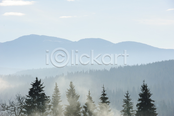 사람없음 JPG 포토 해외이미지 산 숲 아침 안개 야외 언덕 주간 풍경(경치) 해외202004