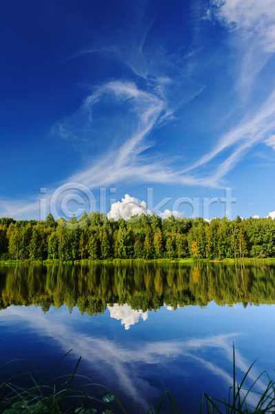 사람없음 JPG 포토 해외이미지 강 구름(자연) 나무 반사 숲 야외 자연 주간 풍경(경치) 하늘 해외202004 호수