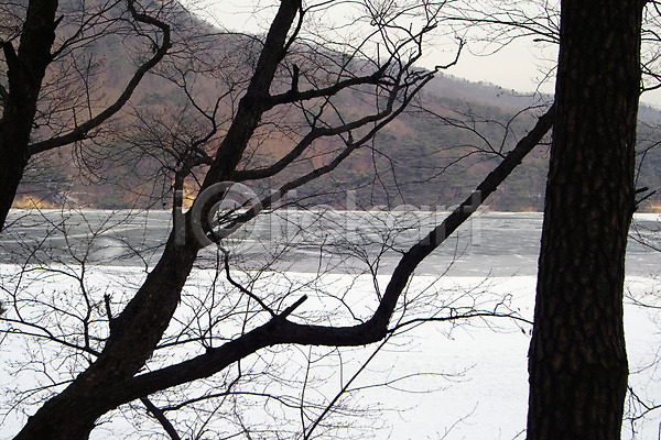 사람없음 JPG 포토 겨울 계절 나무 나뭇가지 배경화면 백그라운드 사계절 산 산정호수 식물 야외 얼음 자연 주간 풍경(경치) 호수