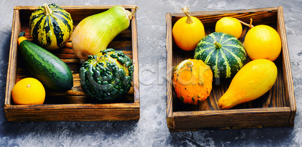 신선 사람없음 JPG 포토 해외이미지 10월 11월 9월 가을 건강 계절 그룹 날것 노란색 농업 농작물 다이어트 단풍 많음 모음 미니어처 박 백그라운드 수확 숙성 스쿼시 시골 심볼 음식 자연 장식 채소 채식주의자 초록색 추수감사절 컨셉 컬러풀 할로윈 해외202004 해외포토 호박