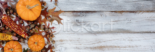사람없음 JPG 포토 해외이미지 가을 갈색 견과류 계절 도토리 목재 백그라운드 시골 옥수수 음식 잎 자연 장식 추수감사절 카피스페이스 할로윈 해외202004 해외포토 호박 휴가 흰색