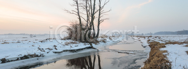 고독 성장 평화 사람없음 JPG 포토 해외이미지 1 계절 고립 구름 나무 나뭇가지 내추럴 땅 목재 밭 백그라운드 봄 숲 시골 식물 싱글 여름 옛날 우주 잎 자연 초록색 큼 파란색 풍경 하늘 해외202004 해외포토 혼자 환경 흰색