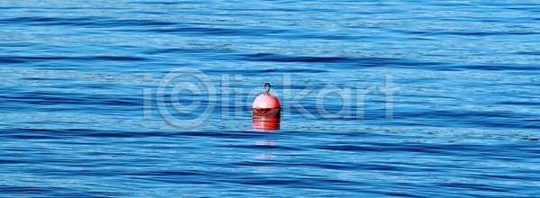 사람없음 JPG 포토 해외이미지 노르웨이 물 바다 오렌지 해외202004 해외포토