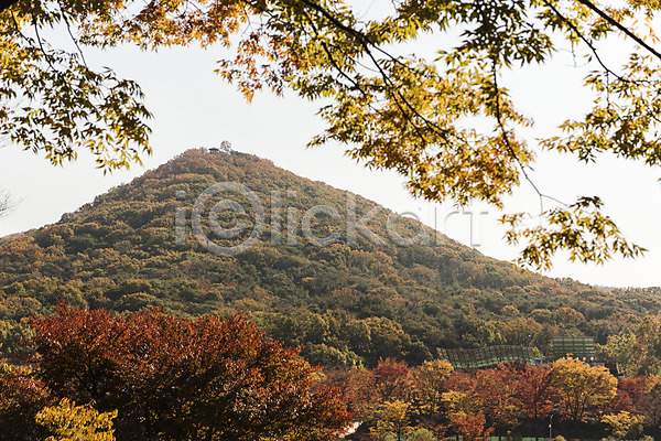 사람없음 JPG 포토 가을(계절) 가을풍경 경기도 나무 낙엽 단풍 단풍나무 산 야외 인천 인천대공원 주간 풍경(경치)
