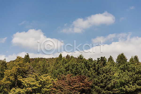 사람없음 JPG 포토 가을(계절) 가을풍경 경기도 구름(자연) 나무 낙엽 단풍 야외 인천 인천대공원 주간 풍경(경치) 하늘