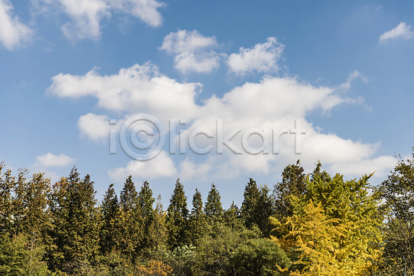 사람없음 JPG 포토 가을(계절) 가을풍경 경기도 구름(자연) 나무 낙엽 단풍 야외 인천 인천대공원 주간 풍경(경치) 하늘