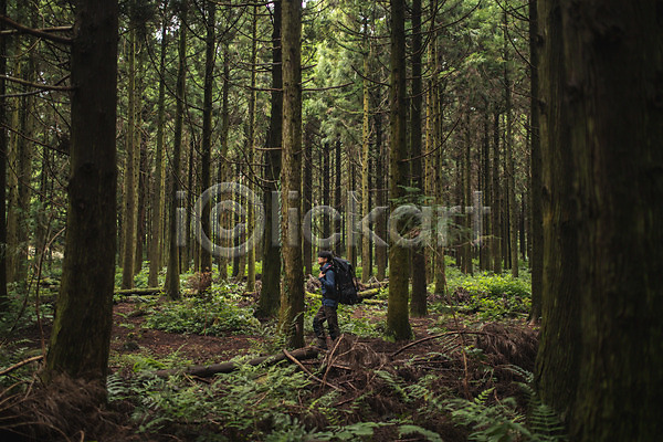 20대 남자 성인 성인남자한명만 한국인 한명 JPG 옆모습 포토 걷기 나무 맨라이프 숲속 야외 여행 욜로라이프 전신 제주도 주간 캠핑