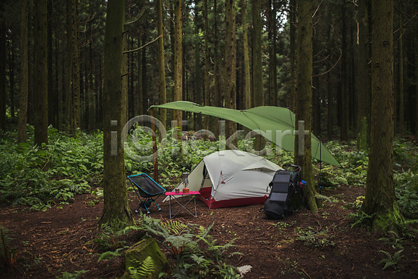 사람없음 JPG 포토 나무 배낭 숲속 야외 여행 욜로라이프 제주도 주간 캠핑 캠핑도구 텐트